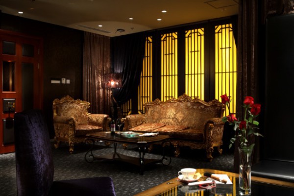 成都桂湖公园养生茶韵，悠然时光体验(成都桂湖公园门票)