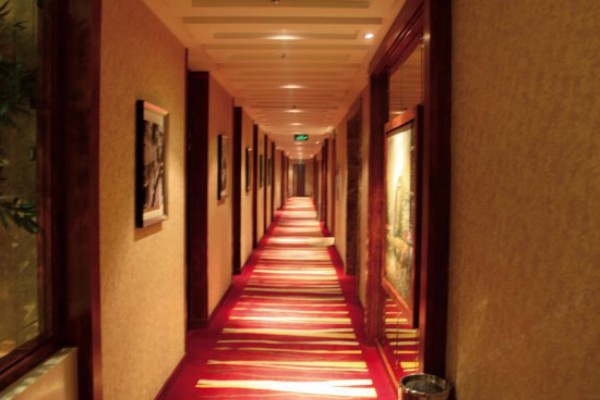 成都夜生活养生秘籍：休闲放松好去处(成都夜sn)